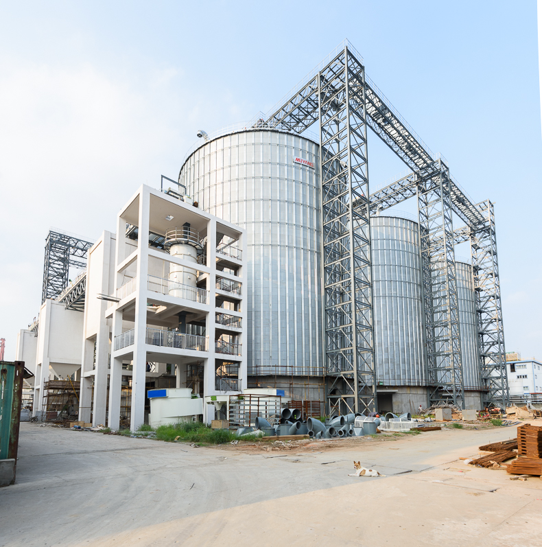 Construction of 45 thousand ton steel warehouse for Jianghai grain and oil wharf 1